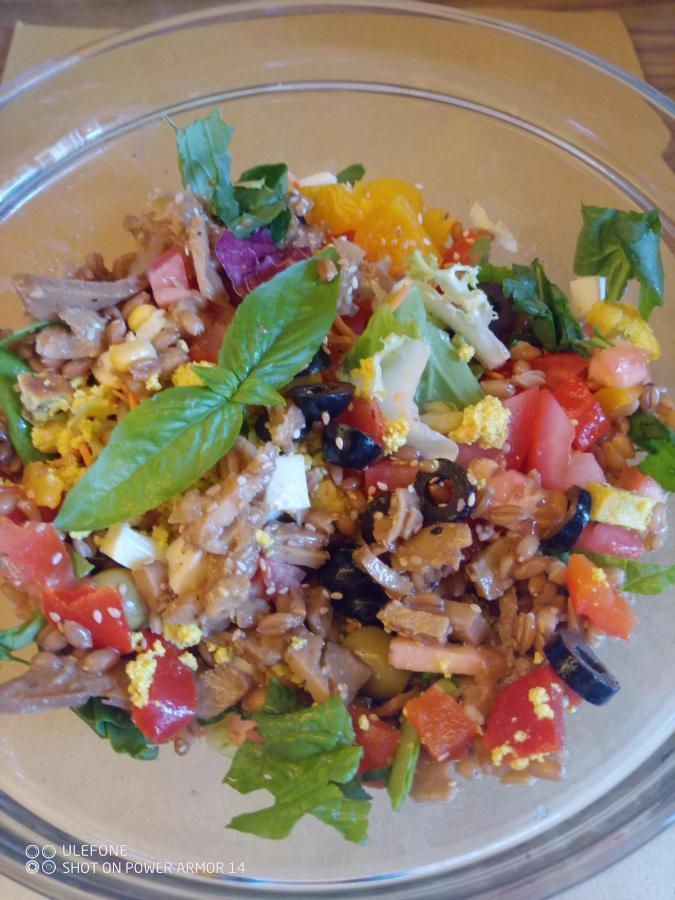 Vegan B&B Meuble Adriana 시르미오네 외부 사진