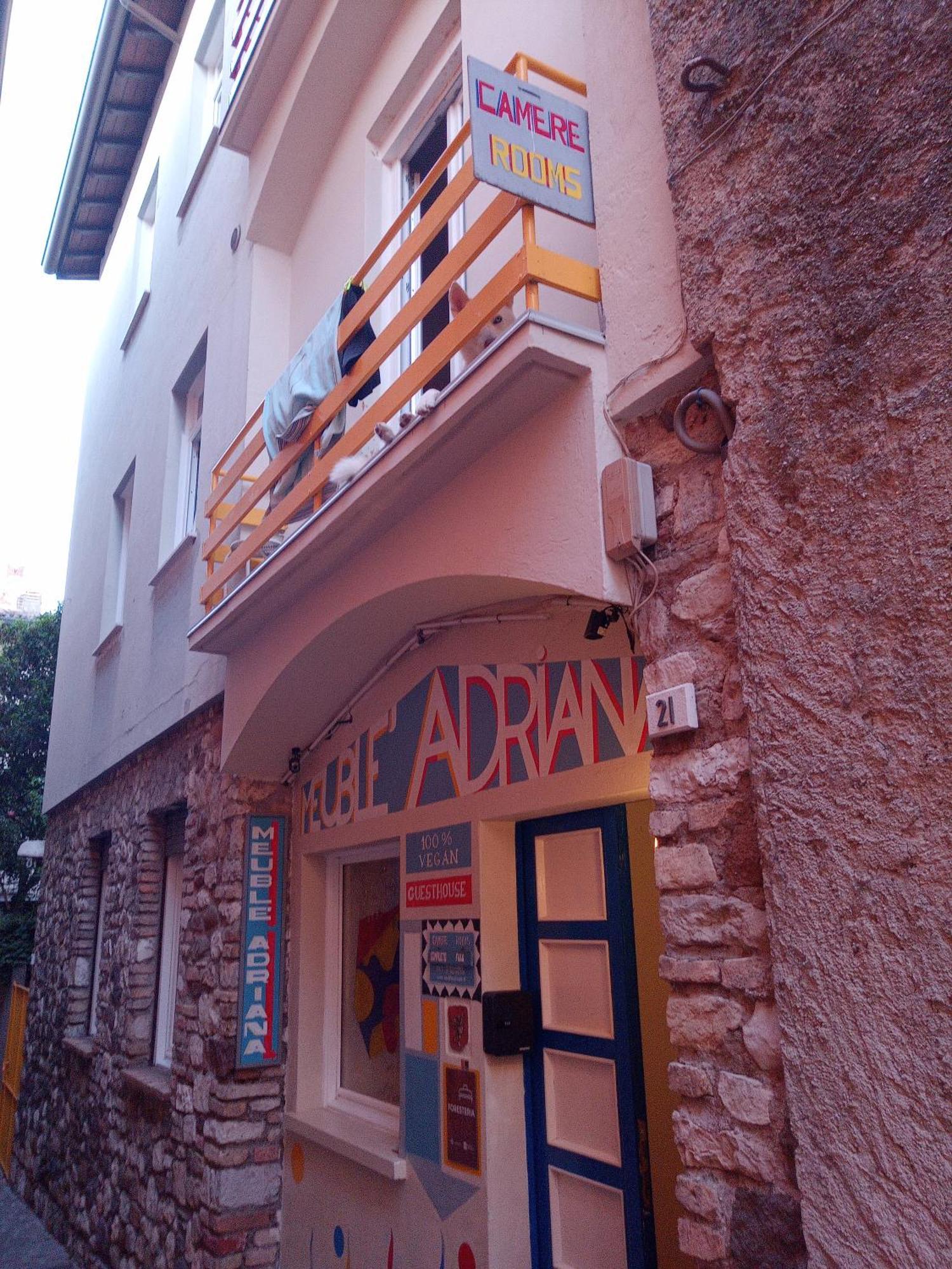 Vegan B&B Meuble Adriana 시르미오네 외부 사진